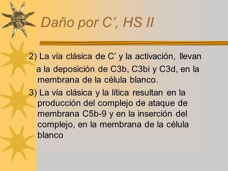 Daño por C’, HS II 2) La vía clásica de C’ y la activación, llevan