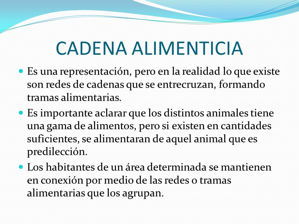 CADENA ALIMENTICIA Es una representación, pero en la realidad lo que existe son redes de cadenas que se entrecruzan, formando tramas alimentarias.
