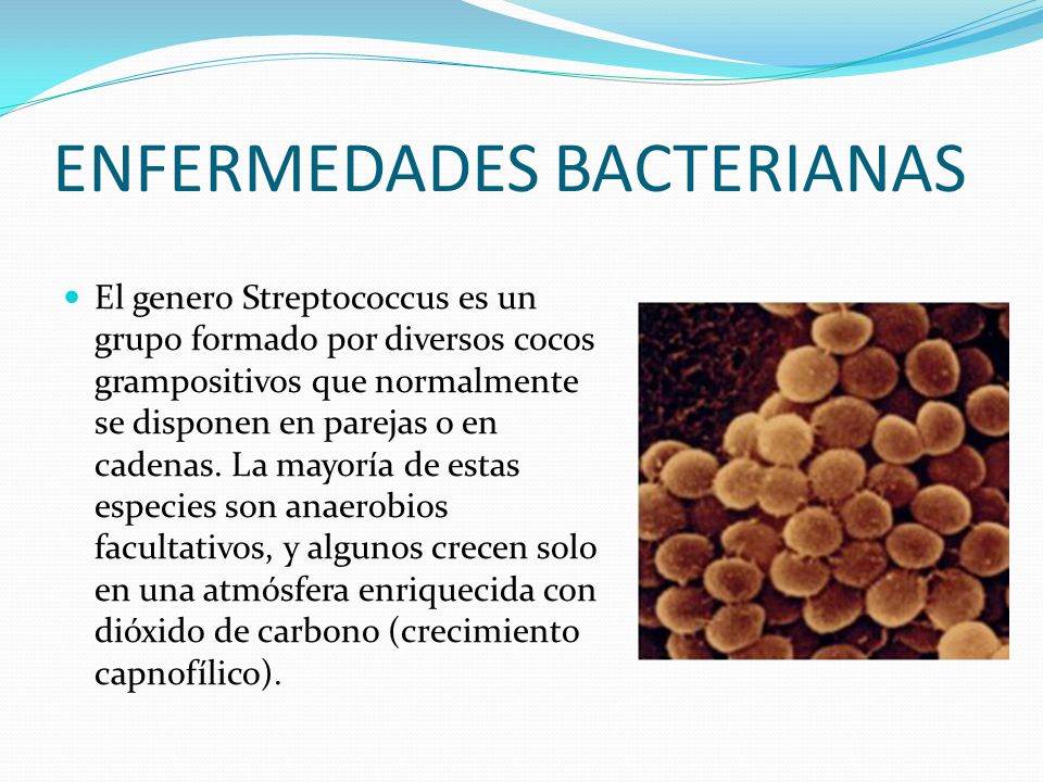 ENFERMEDADES BACTERIANAS