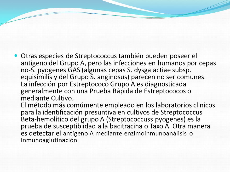 Otras especies de Streptococcus también pueden poseer el antígeno del Grupo A, pero las infecciones en humanos por cepas no-S.