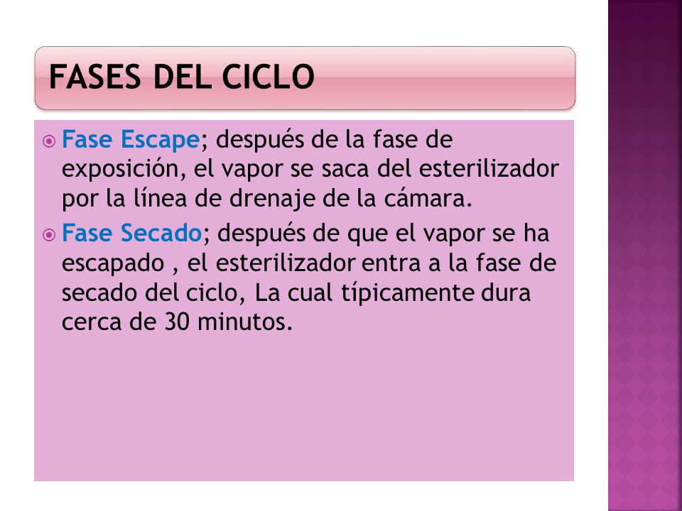 FASES DEL CICLO Fase Escape; después de la fase de exposición, el vapor se saca del esterilizador por la línea de drenaje de la cámara.