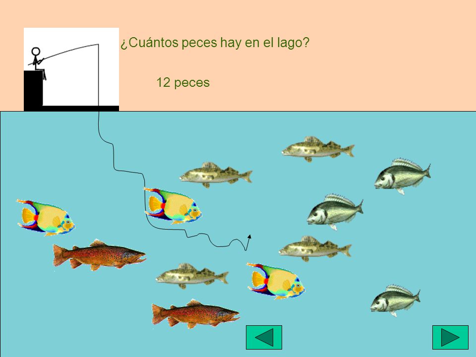 ¿Cuántos peces hay en el lago
