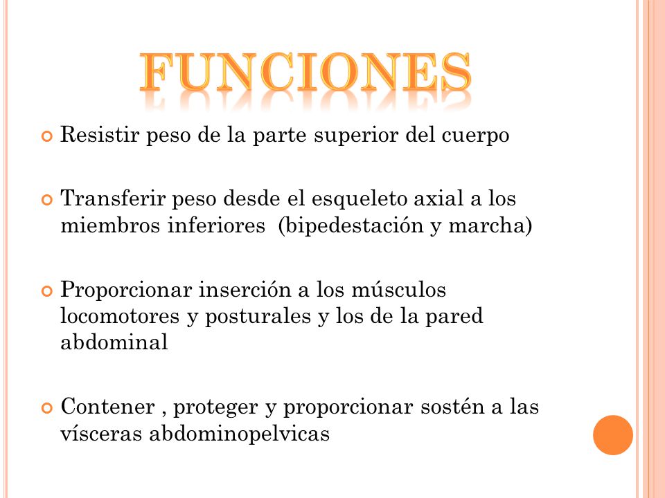 funciones Resistir peso de la parte superior del cuerpo
