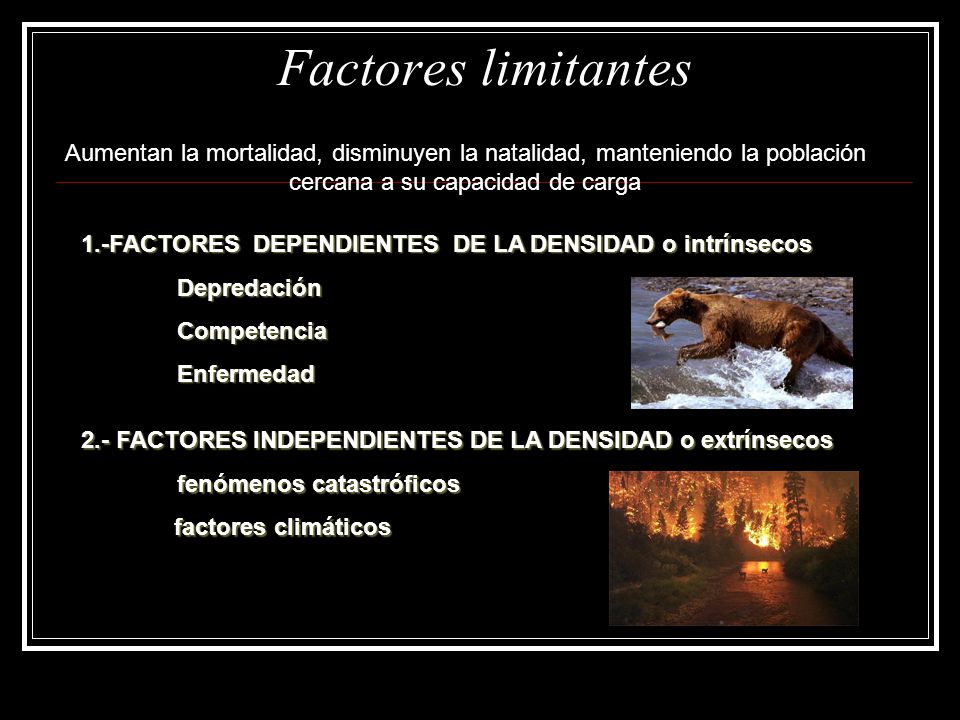 Factores limitantes Aumentan la mortalidad, disminuyen la natalidad, manteniendo la población cercana a su capacidad de carga.