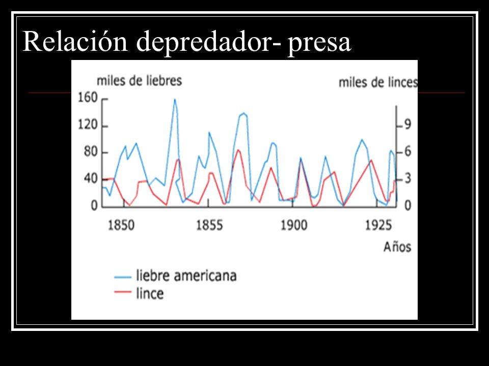 Relación depredador- presa