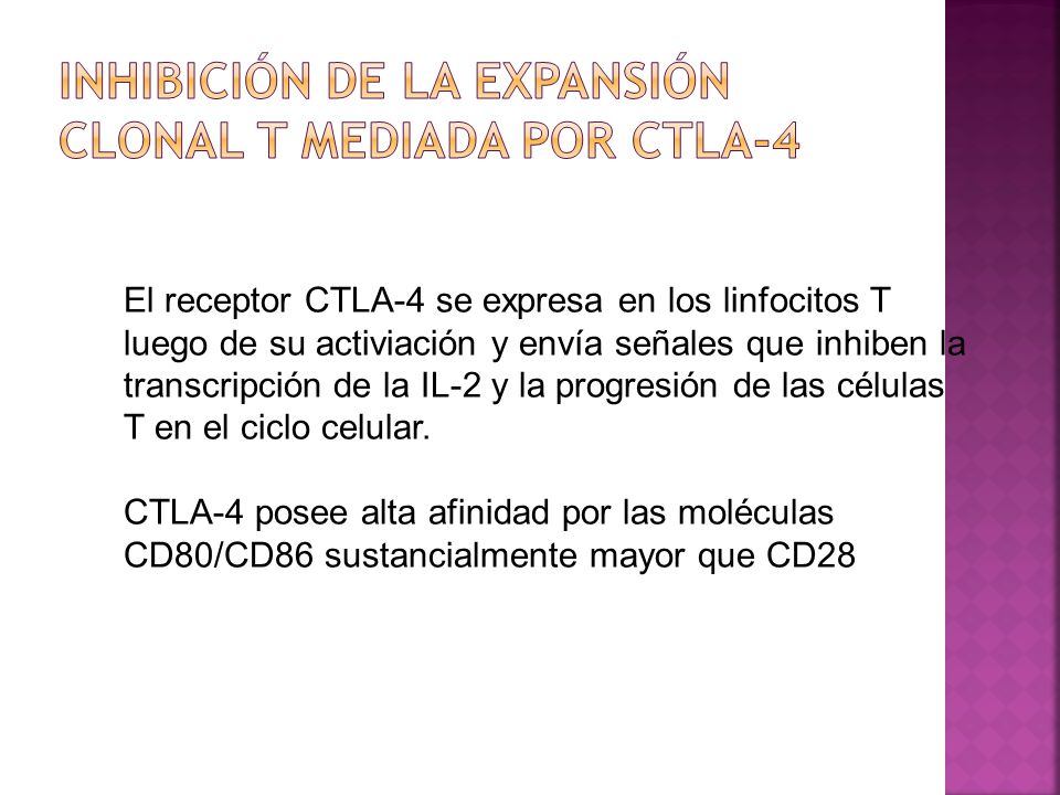 Inhibición de la expansión clonal T mediada por CTLA-4