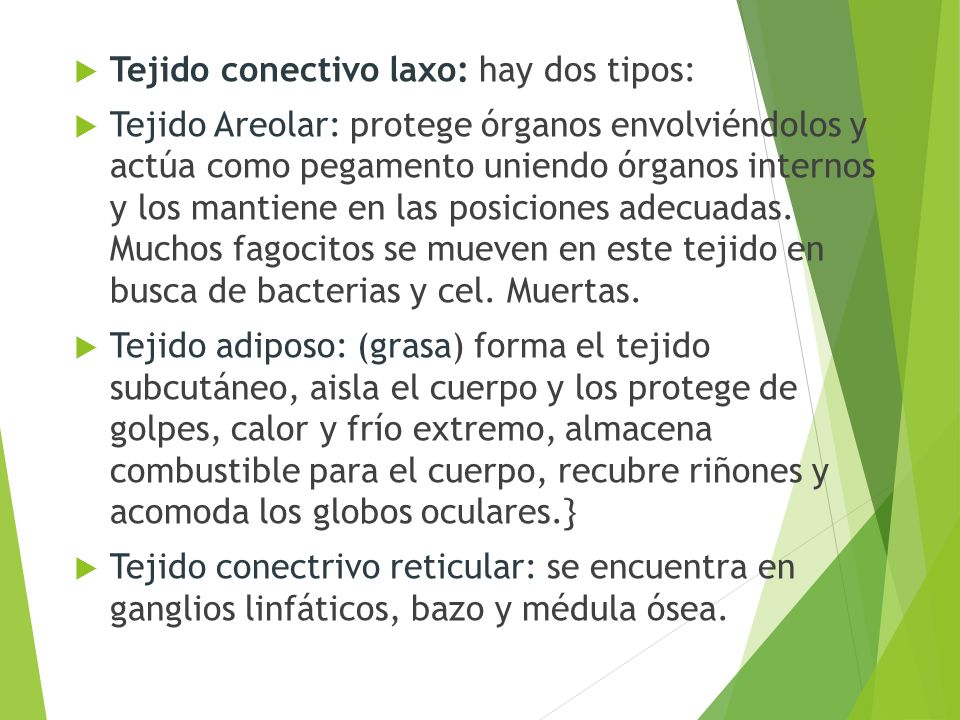 Tejido conectivo laxo: hay dos tipos: