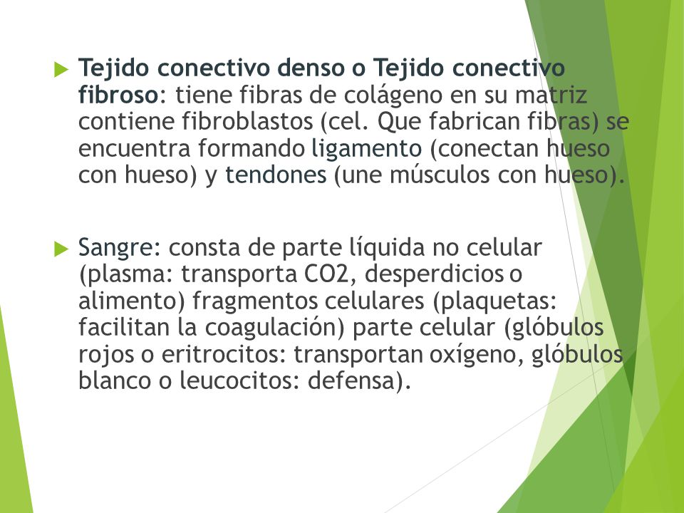 Tejido conectivo denso o Tejido conectivo fibroso: tiene fibras de colágeno en su matriz contiene fibroblastos (cel. Que fabrican fibras) se encuentra formando ligamento (conectan hueso con hueso) y tendones (une músculos con hueso).