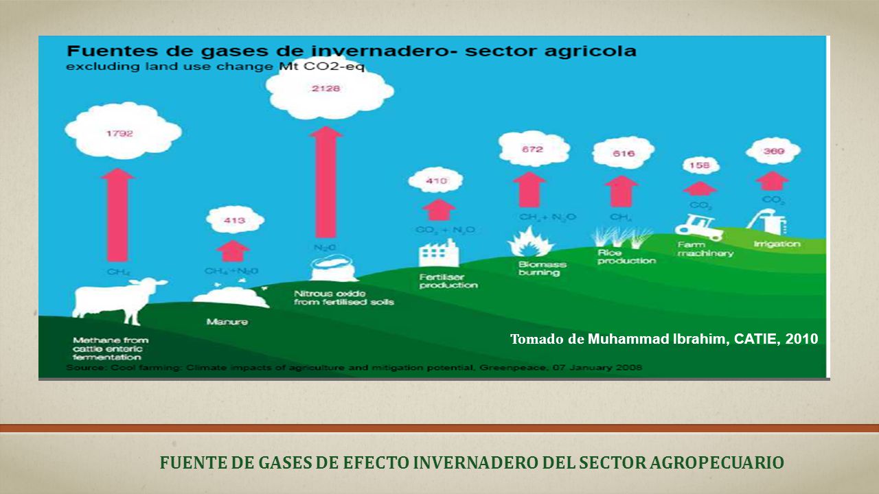 Fuente de gases de efecto invernadero del sector agropecuario