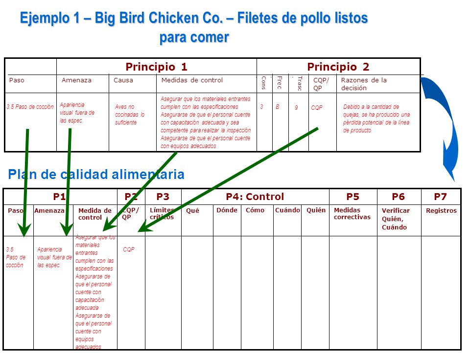 Ejemplo 1 – Big Bird Chicken Co. – Filetes de pollo listos para comer
