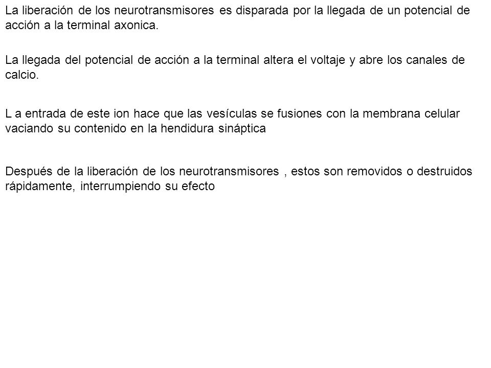 La liberación de los neurotransmisores es disparada por la llegada de un potencial de acción a la terminal axonica.