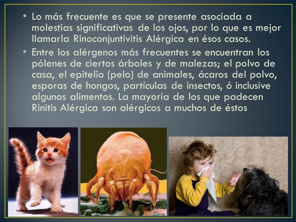 Lo más frecuente es que se presente asociada a molestias significativas de los ojos, por lo que es mejor llamarla Rinoconjuntivitis Alérgica en ésos casos.