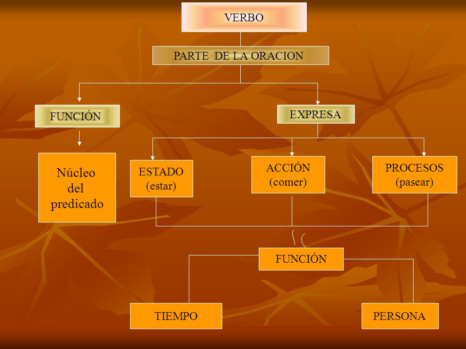 Núcleo del predicado VERBO PARTE DE LA ORACION FUNCIÓN EXPRESA ACCIÓN