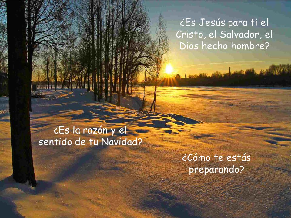 ¿Es Jesús para ti el Cristo, el Salvador, el Dios hecho hombre