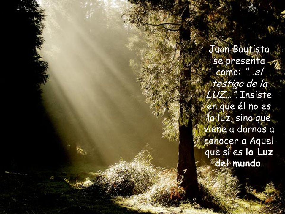 Juan Bautista se presenta como: …el testigo de la LUZ…