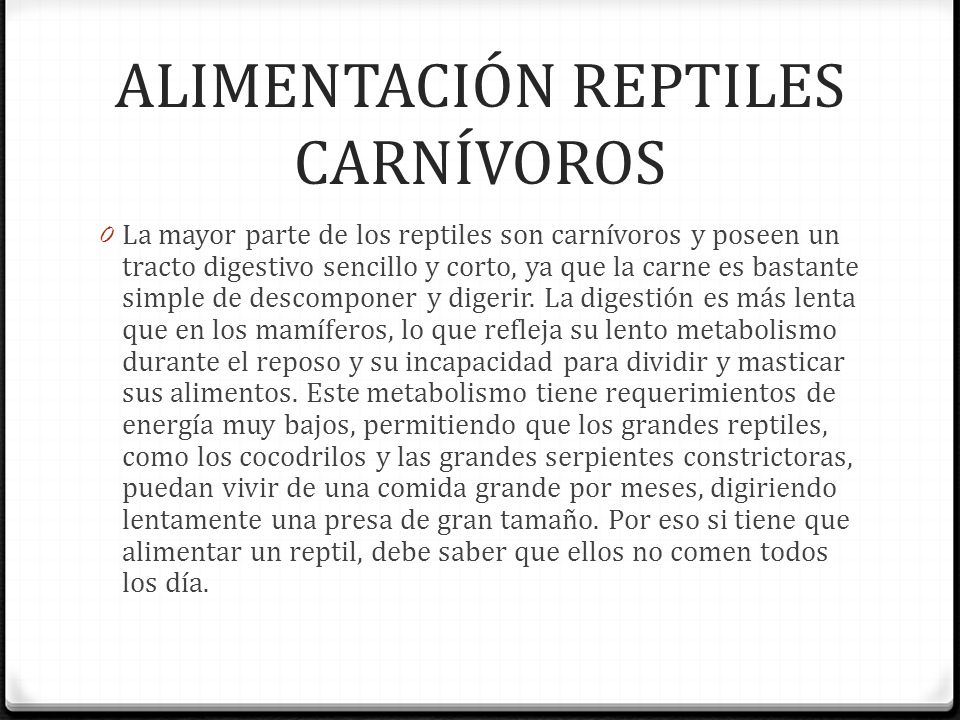ALIMENTACIÓN REPTILES CARNÍVOROS
