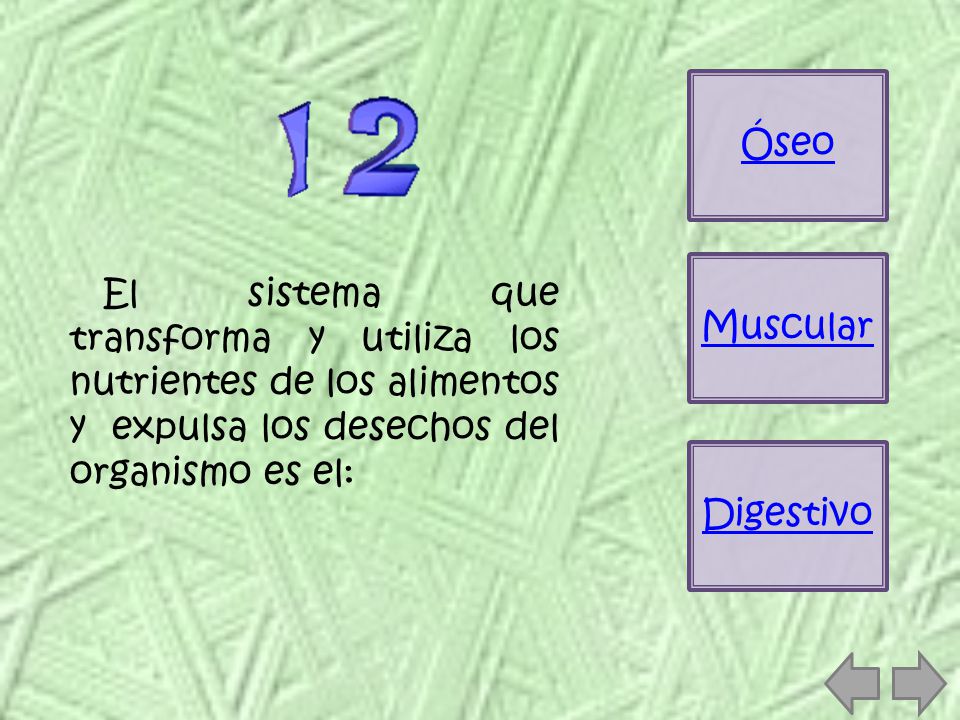 Óseo Muscular. El sistema que transforma y utiliza los nutrientes de los alimentos y expulsa los desechos del organismo es el: