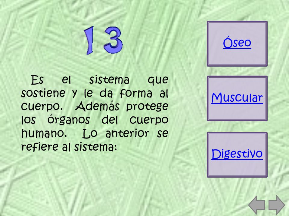 Óseo Es el sistema que sostiene y le da forma al cuerpo. Además protege los órganos del cuerpo humano. Lo anterior se refiere al sistema:
