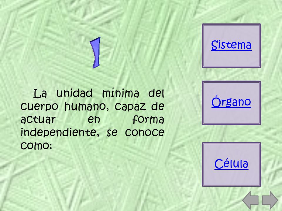 Sistema Órgano. La unidad mínima del cuerpo humano, capaz de actuar en forma independiente, se conoce como: