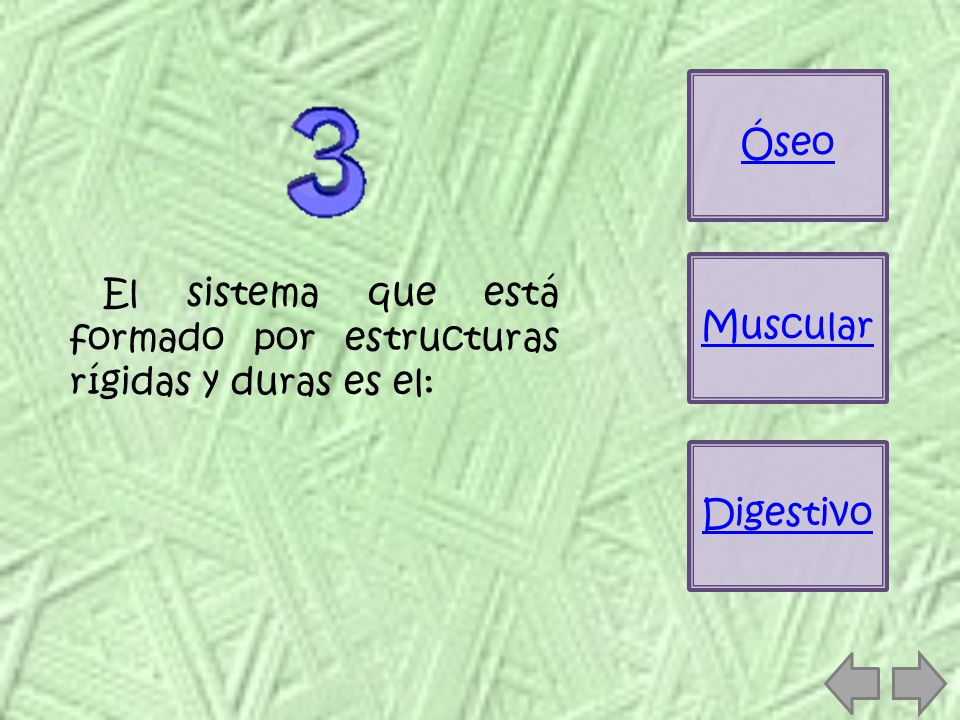Óseo Muscular El sistema que está formado por estructuras rígidas y duras es el: Digestivo