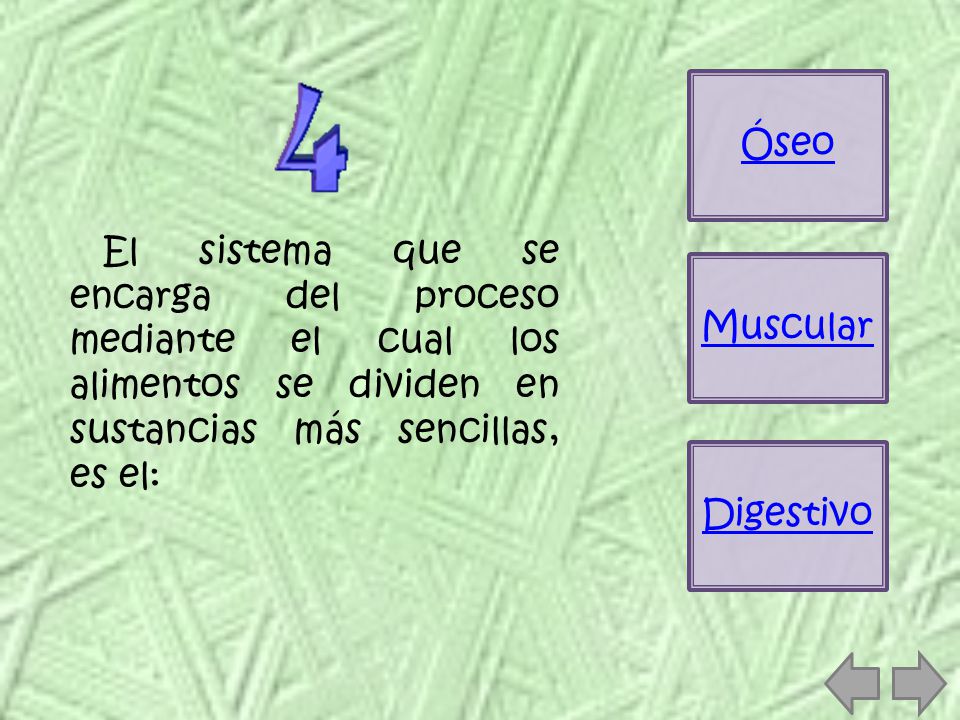 Óseo El sistema que se encarga del proceso mediante el cual los alimentos se dividen en sustancias más sencillas, es el: