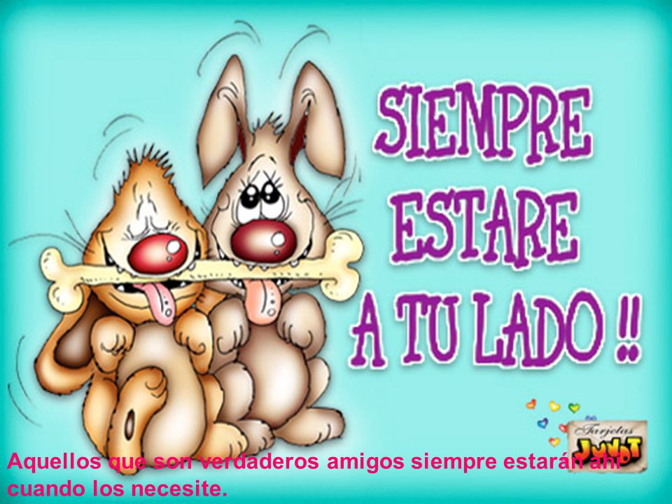 Aquellos que son verdaderos amigos siempre estarán ahí cuando los necesite.