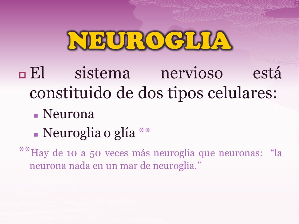 NEUROGLIA El sistema nervioso está constituido de dos tipos celulares:
