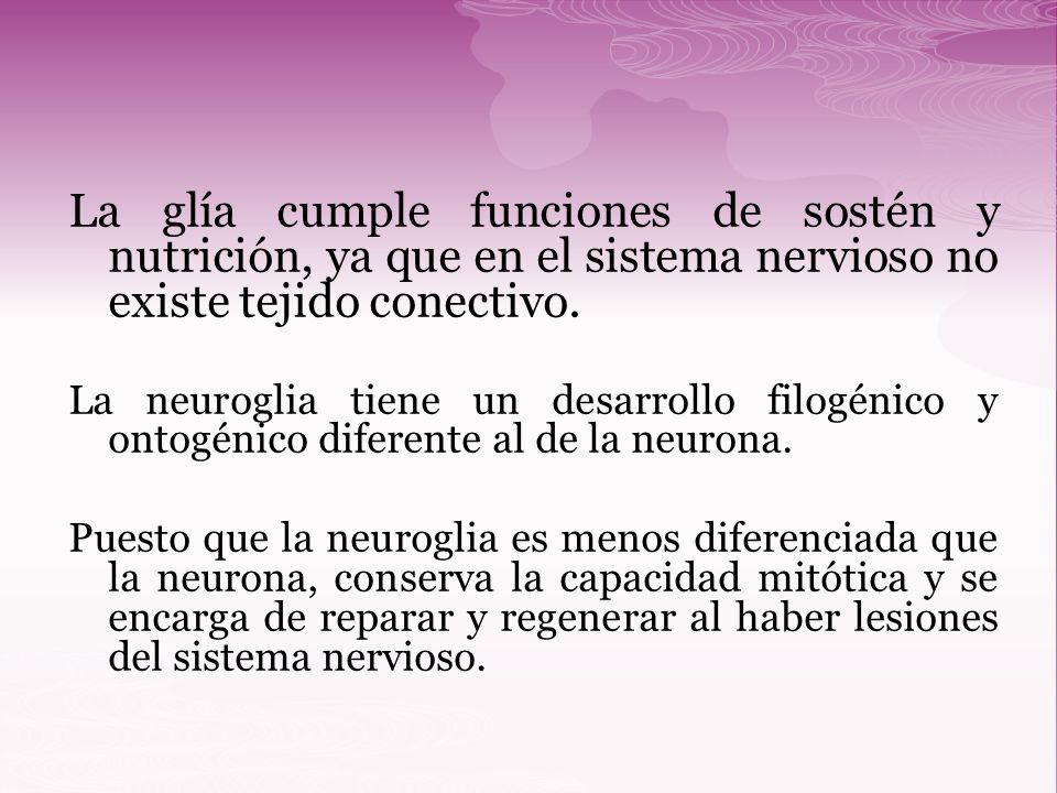 La glía cumple funciones de sostén y nutrición, ya que en el sistema nervioso no existe tejido conectivo.
