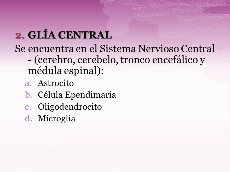 GLÍA CENTRAL Se encuentra en el Sistema Nervioso Central - (cerebro, cerebelo, tronco encefálico y médula espinal):