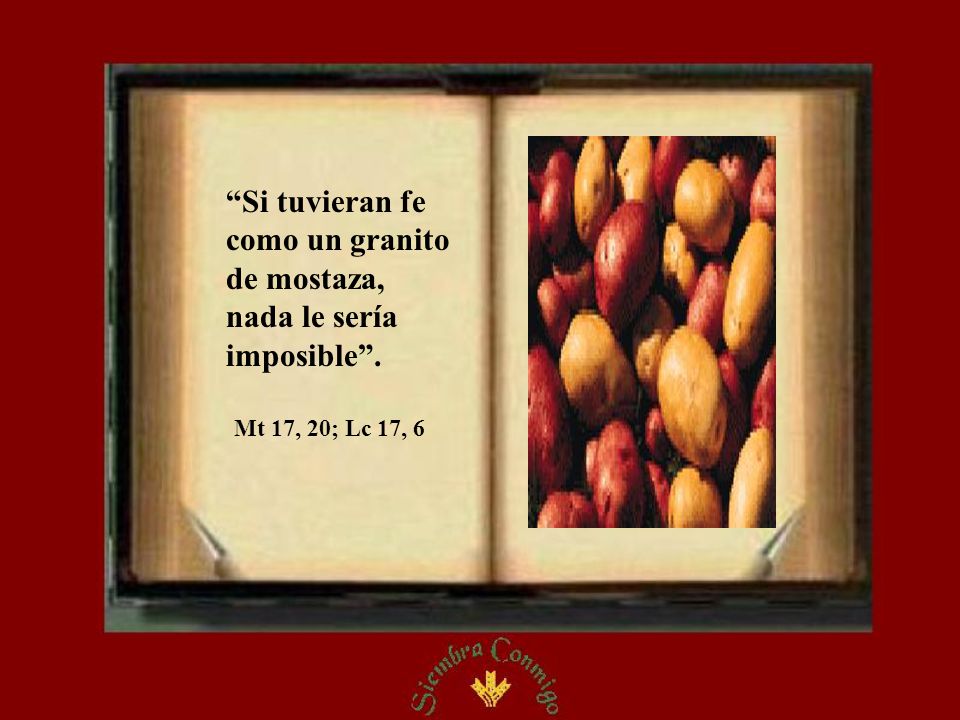 Si tuvieran fe como un granito de mostaza, nada le sería imposible .