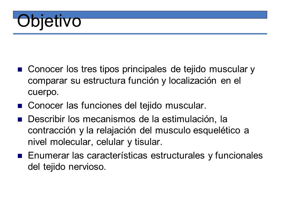 Objetivo Conocer los tres tipos principales de tejido muscular y comparar su estructura función y localización en el cuerpo.