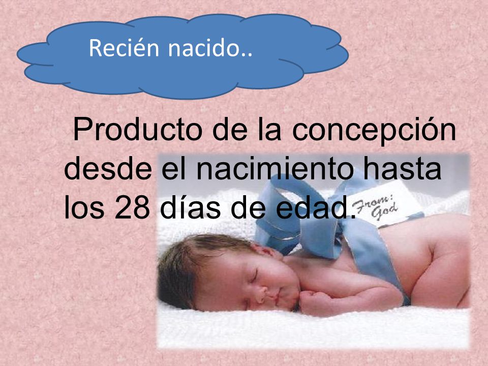 Recién nacido.. Producto de la concepción desde el nacimiento hasta los 28 días de edad.