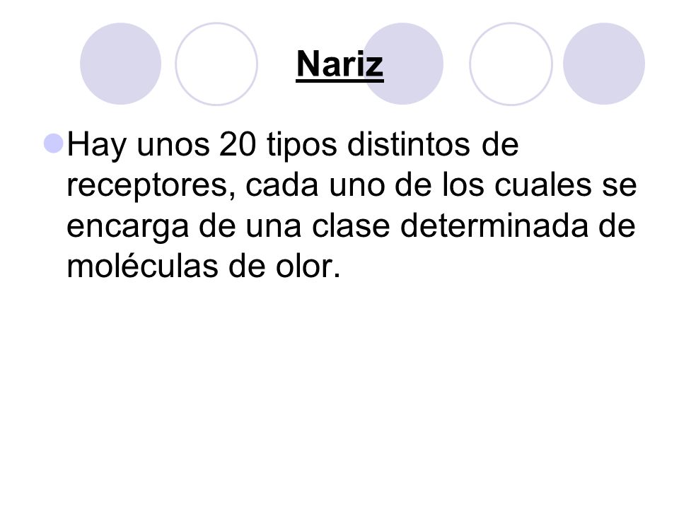 Nariz Hay unos 20 tipos distintos de receptores, cada uno de los cuales se encarga de una clase determinada de moléculas de olor.
