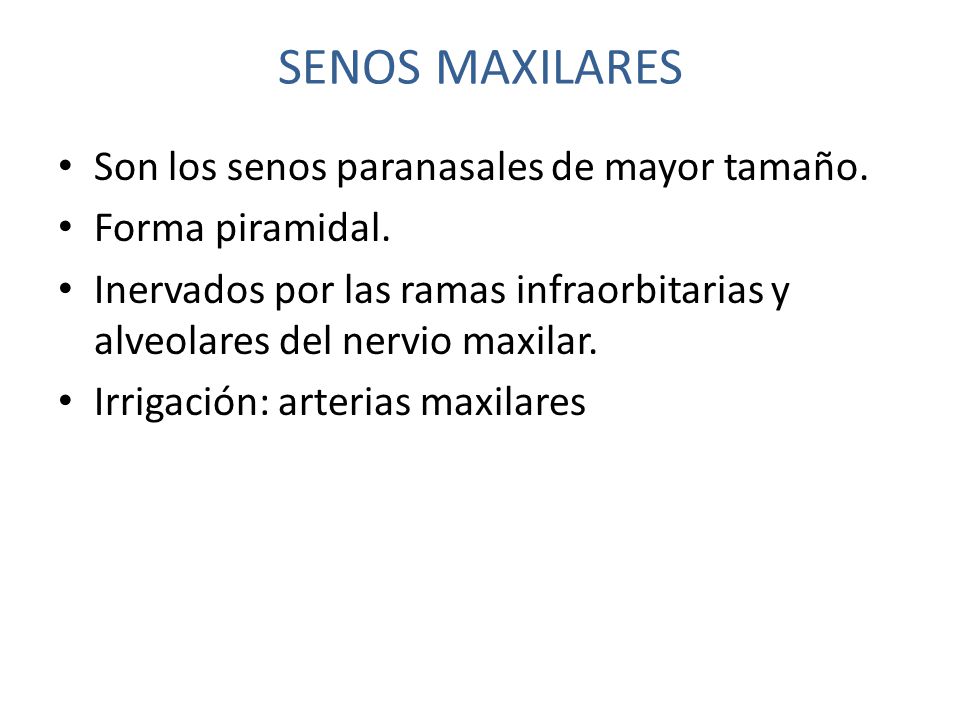 SENOS MAXILARES Son los senos paranasales de mayor tamaño.