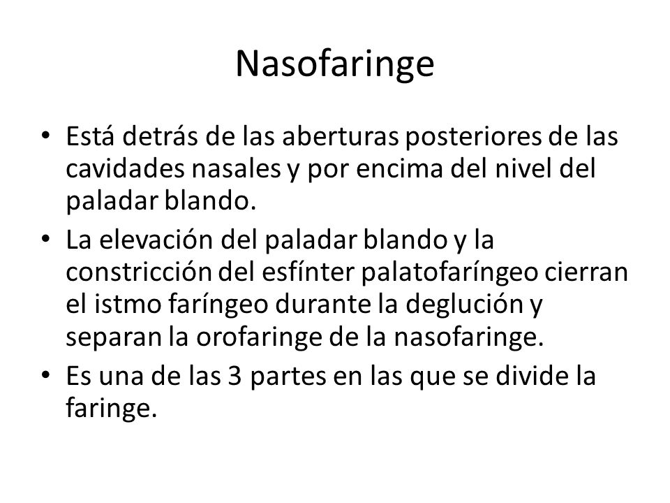Nasofaringe Está detrás de las aberturas posteriores de las cavidades nasales y por encima del nivel del paladar blando.
