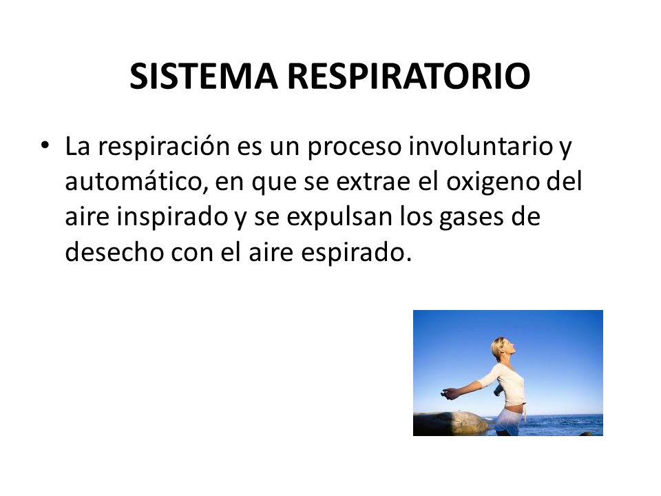 SISTEMA RESPIRATORIO