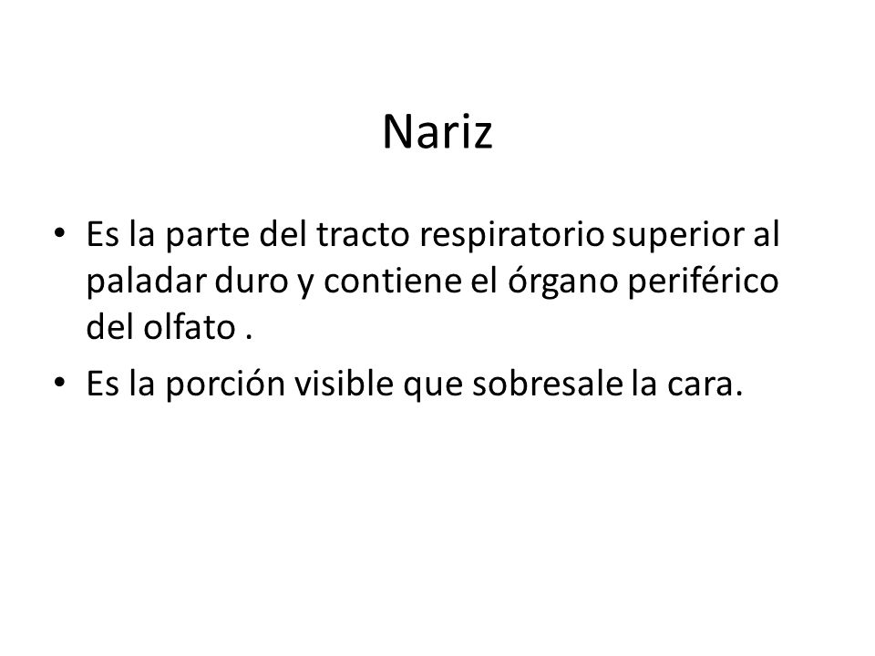Nariz Es la parte del tracto respiratorio superior al paladar duro y contiene el órgano periférico del olfato .