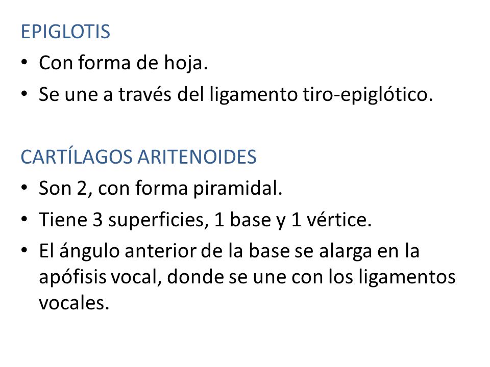 EPIGLOTIS Con forma de hoja. Se une a través del ligamento tiro-epiglótico. CARTÍLAGOS ARITENOIDES.