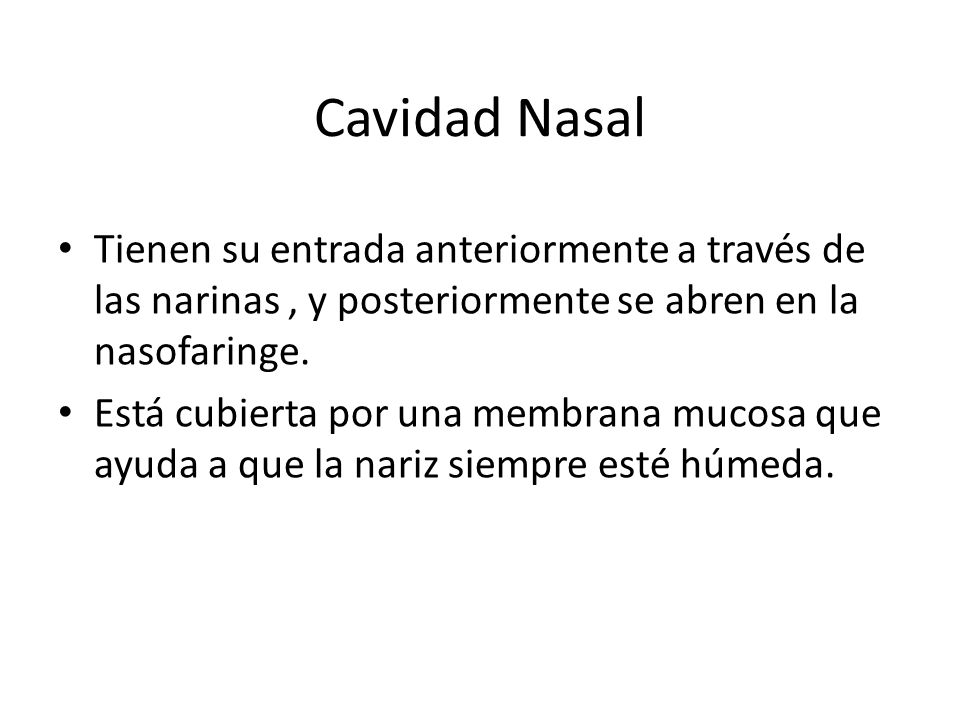 Cavidad Nasal Tienen su entrada anteriormente a través de las narinas , y posteriormente se abren en la nasofaringe.