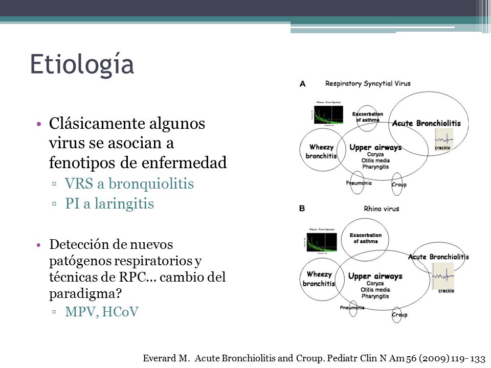 Etiología Clásicamente algunos virus se asocian a fenotipos de enfermedad. VRS a bronquiolitis. PI a laringitis.
