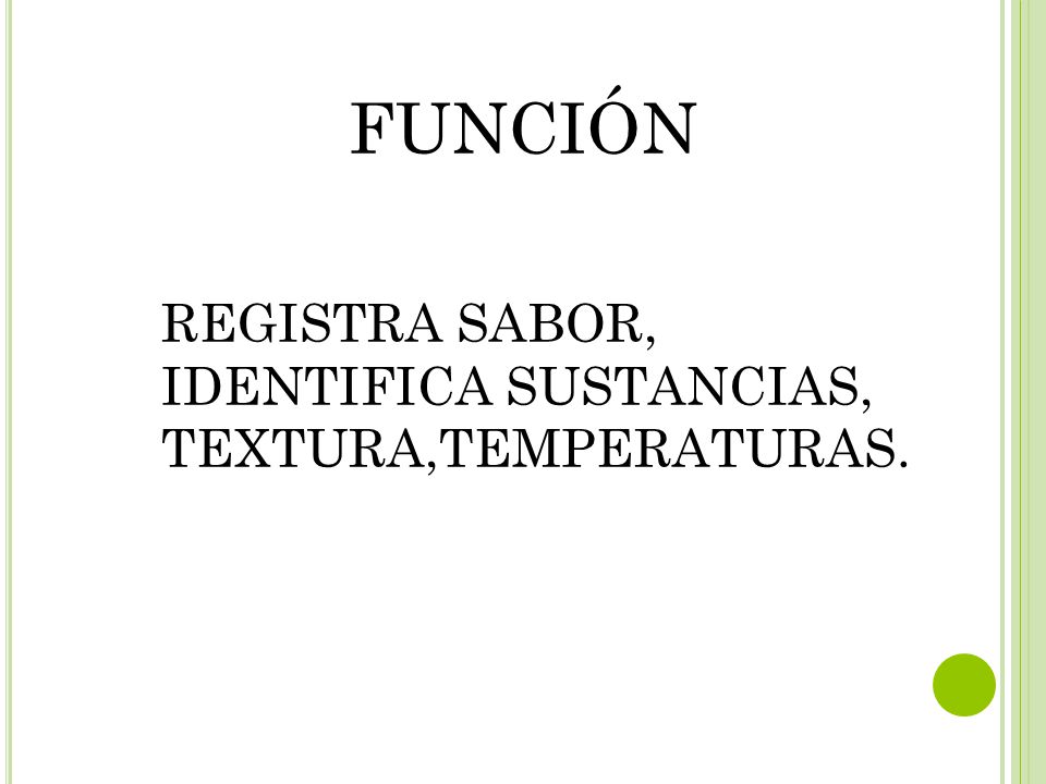 FUNCIÓN REGISTRA SABOR, IDENTIFICA SUSTANCIAS, TEXTURA,TEMPERATURAS.