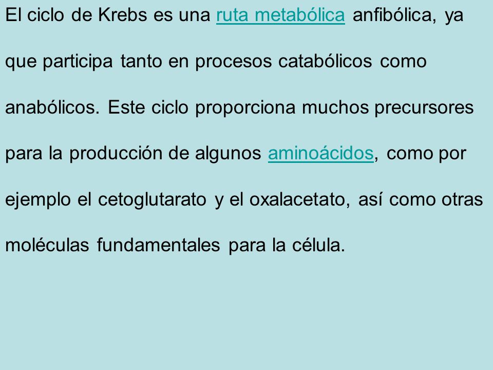 El ciclo de Krebs es una ruta metabólica anfibólica, ya