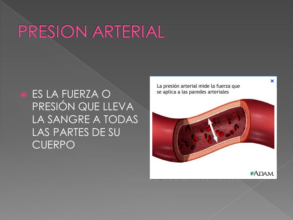 PRESION ARTERIAL ES LA FUERZA O PRESIÓN QUE LLEVA LA SANGRE A TODAS LAS PARTES DE SU CUERPO