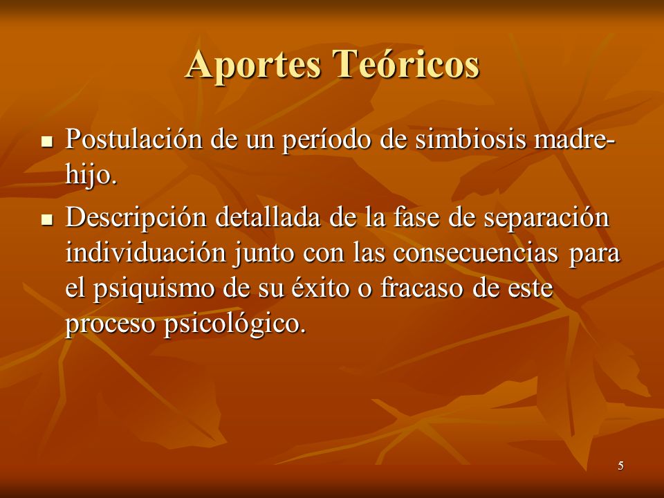 Aportes Teóricos Postulación de un período de simbiosis madre-hijo.