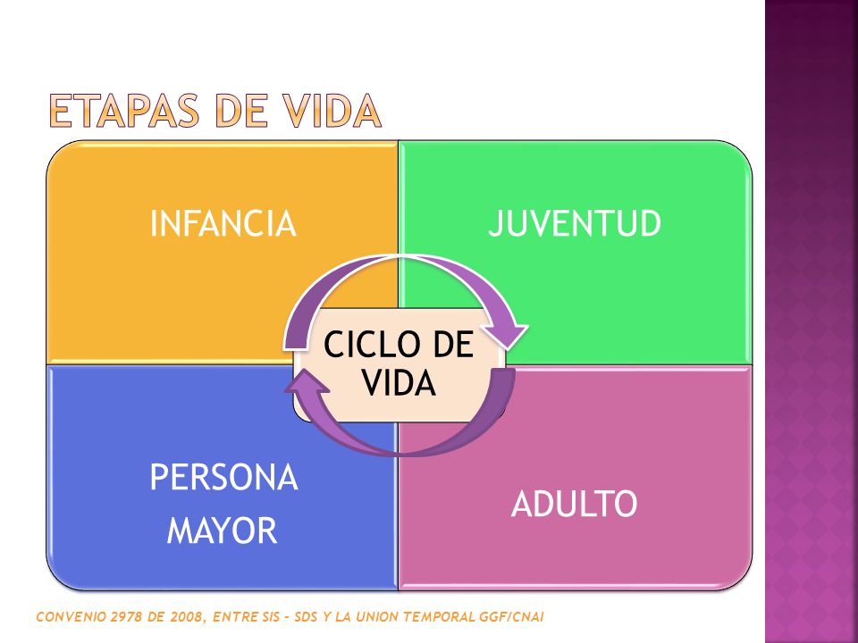 ETAPAS DE VIDA INFANCIA JUVENTUD CICLO DE VIDA ADULTO PERSONA MAYOR