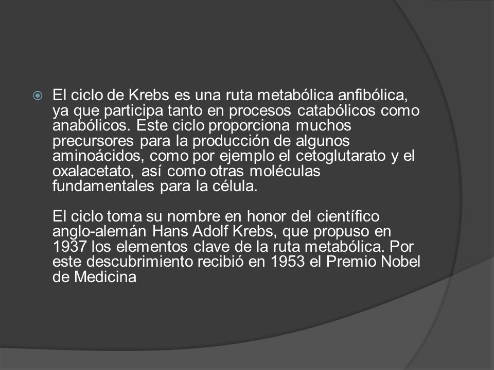 El ciclo de Krebs es una ruta metabólica anfibólica, ya que participa tanto en procesos catabólicos como anabólicos.