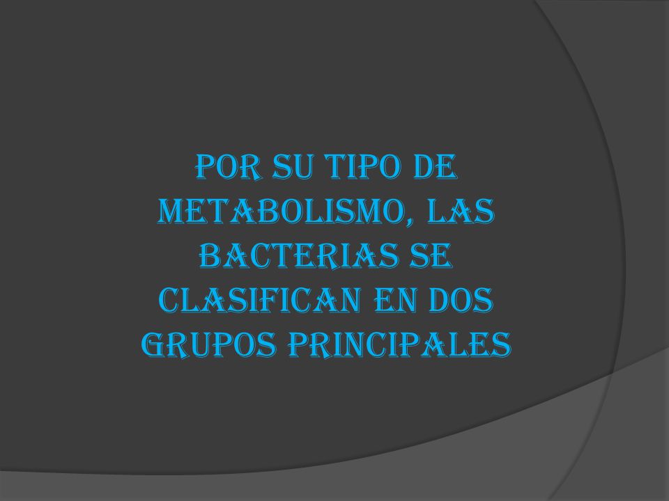Por su tipo de metabolismo, las bacterias se clasifican en dos grupos principales