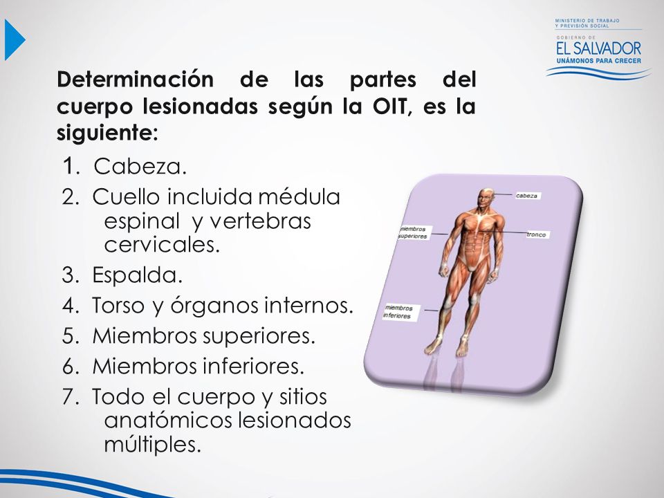 Determinación de las partes del cuerpo lesionadas según la OIT, es la siguiente: