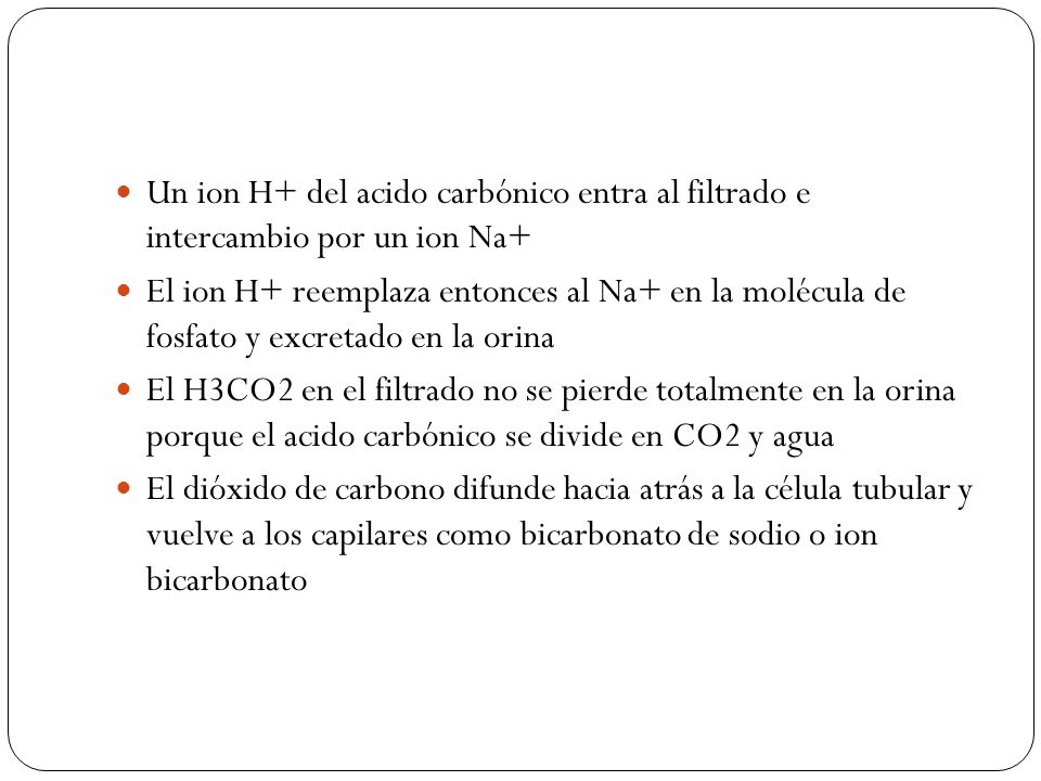 Un ion H+ del acido carbónico entra al filtrado e intercambio por un ion Na+