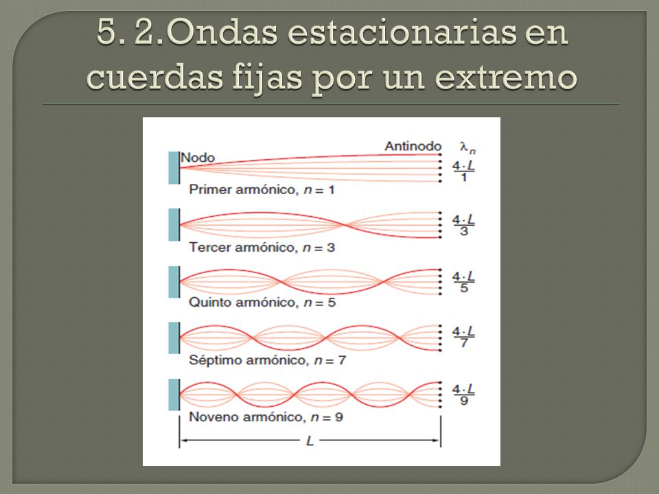 5. 2.Ondas estacionarias en cuerdas fijas por un extremo